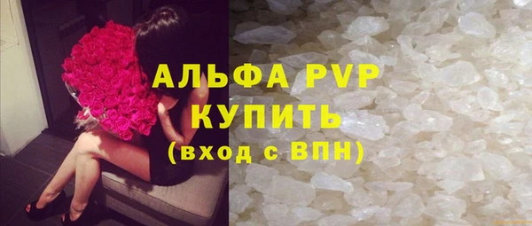 дмт Богданович