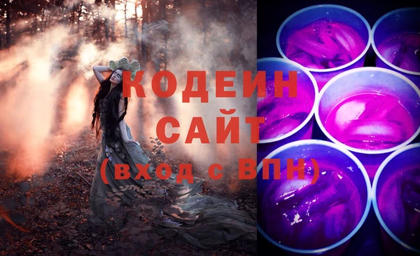 дмт Богданович