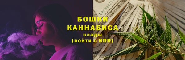 мдпв Богородицк
