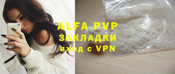 стаф Бородино