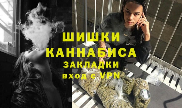 мдпв Богородицк