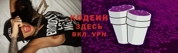 дмт Богданович