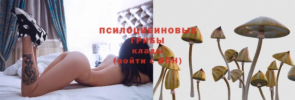 стаф Бородино