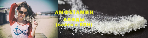 стаф Бородино