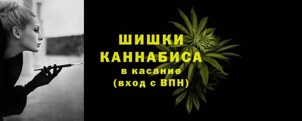 хмурый Богородск