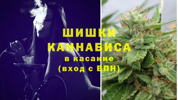 мдпв Богородицк