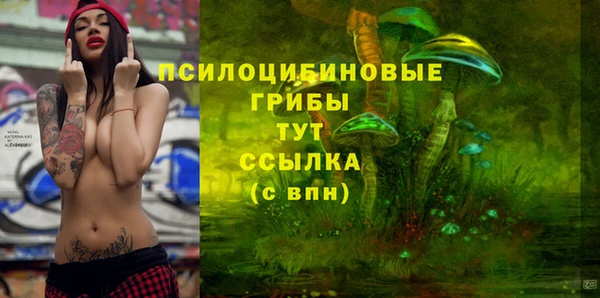 хмурый Богородск
