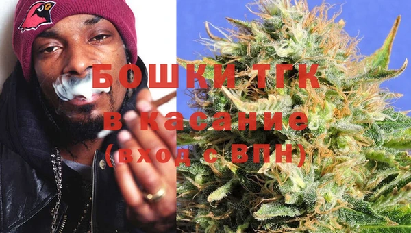 мдпв Богородицк