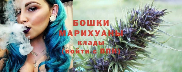 стаф Бородино