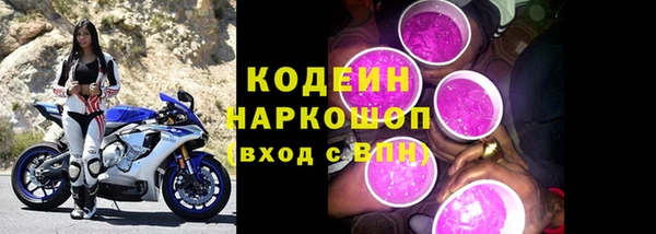 стаф Бородино