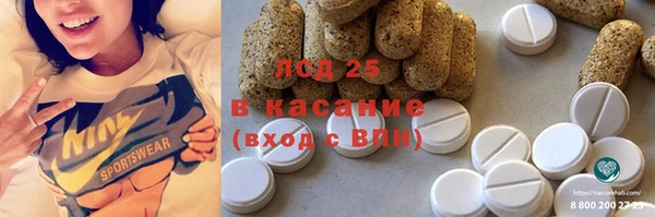 мдпв Богородицк