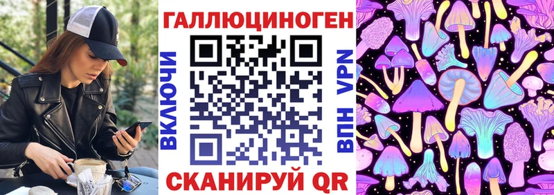 что такое наркотик Киржач Псилоцибиновые грибы Cubensis